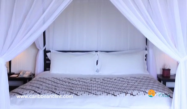 parrotCayGardenviewKingTurks
