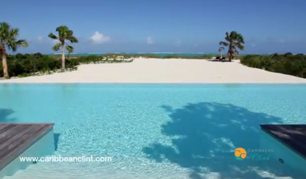 parrotCayIslandVillaTurks